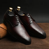 FELELOZ LONDON MONARCH DERBY BROWN