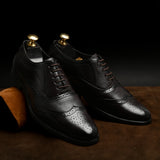 FELELOZ LONDON MAJESTIC WINGTIP OXFORD BROWN